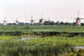 Rows of windmills at Kinderdijk. Netherlands.