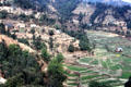 Terraced fields on road to Katmandu. Nepal.