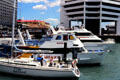 Yachts at Ferry building. Auckland, New Zealand