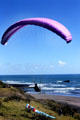 Parasailors land on Muriwai Beach. New Zealand