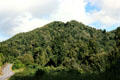 Hilly terrain along road from Papiriki to Raetihi. New Zealand.