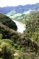View of the Whanganui River, called the Rhine of New Zealand by tourists in 1800s. New Zealand.