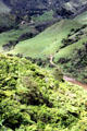Vegetation surrounds the Whanganui River where one can drive for hours without meeting another car. New Zealand