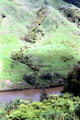 Sunny hillside of Whanganui River valley. New Zealand.