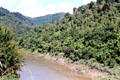 Whanganui River scenery. New Zealand.