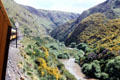 View of gorge from Taieri Gorge Rail Road. New Zealand.
