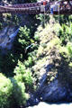 Bungy jumper at Kawarau suspension bridge. New Zealand.