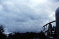 Fruit bats in sky over Madang. Papua New Guinea.