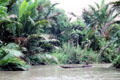 Man paddling a dugout canoe along Barat Canal to Murik Lake. Papua New Guinea.
