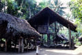 Houses surrounded by jungle in Tambanam. Papua New Guinea.