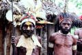 Chimbu warrior wearing kangaroo fur bibs and feathered headdress. Papua New Guinea.