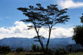 Trees and mountains make up the highland scenery. Papua New Guinea