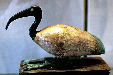 Egyptian wood gilt mummy case for Ibis god Thot in Vatican Museum. Vatican City.
