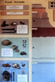 Museum of Olduvai Gorge shows early-humanoid fossils related to strata, the oldest blue level I is 1.6-million years down. Tanzania.