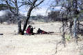 Masai resting in the shade of a tree in the Olduvai Gorge. Tanzania.