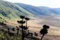 Descending into Ngorongoro Crater. Tanzania.
