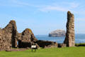 Bass Rock off Tantallon Castle. Scotland.