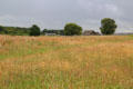 Culloden Battlefield run as museum by National Trust for Scotland. Culloden Moor, Scotland.