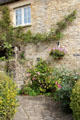 Old brick wall with climbing plant & garden along stone walkway. Bourton-on-the-Water, England.