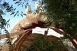 Cosanti by Paolo Soleri. Paradise Valley, AZ.