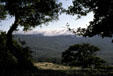 Fog rolls over the coastal hills of the central valley of San Francisco peninsula. Palo Alto, CA.