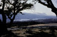 Lake in the central valley of San Francisco peninsula. Palo Alto, CA.