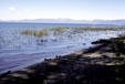 Shoreline of Lake Tahoe. CA.