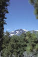 Mountains & pines around Lake Tahoe. CA.