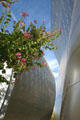 Flowers contrast aluminum surface of Disney Concert Hall. Los Angeles, CA.