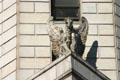 Gargoyle on building at Main & 7th Streets. Los Angeles, CA.