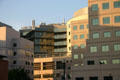 UCLA Medical Plaza buildings. Los Angeles, CA.
