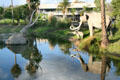 Sculpted mastodons stand in La Brea Tar Pits, site of archeological discoveries. Los Angeles, CA.