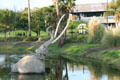 Sculpted mastodon in La Brea Tar Pits in Hancock Park. Los Angeles, CA.