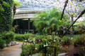 Interior courtyard of Museum of La Brea Tar Pits. Los Angeles, CA.