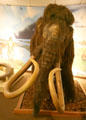 Replica of American Mastodon at Museum of La Brea Tar Pits. Los Angeles, CA.