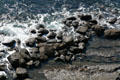 Waves break over rocks below Point Fermin Lighthouse. San Pedro, CA.