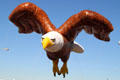 Bald Eagle at Balloon Parade. San Diego, CA.