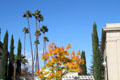 Landscaping at Redlands University. Redlands, CA.