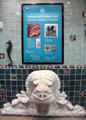 Display of treasures from the Steinhart Aquarium Archives at California Academy of Science. San Francisco, CA.