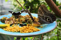 Giant owl butterfly <i>Caligo memnon</i> on butterfly feeder at California Academy of Science. San Francisco, CA.