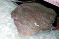 Honeycomb ray <i>Himantura uarnak</i> at California Academy of Science. San Francisco, CA.
