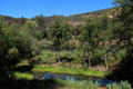 View of river & woods at Marshall Gold Discovery SHP. Coloma, CA.