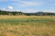 Landscape of Florissant Fossil Beds National Monument. CO.