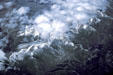Snow capped ridges & clouds of Rocky Mountains from air. CO.