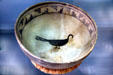 Mesa Verde Puebloan pottery bowl with bird painted inside from classic period III at Mesa Verde Museum. CO.