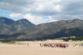 Visiting groups at Great Sand Dunes National Park. CO.