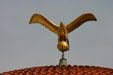 Eagle atop P.T. Barnum building. Bridgeport, CT.