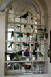 Stuffed birds in curiosity cabinet in Old State House. Hartford, CT.