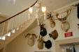 Mounted animal heads reflects Victorian restoration of Old State House. Hartford, CT.