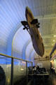Sub model hung in building of Submarine Force Museum. Groton, CT.